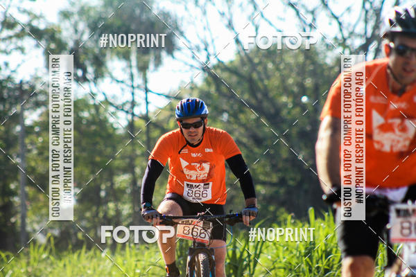 Buy your photos of the eventWolf Series - Botucatu on Fotop