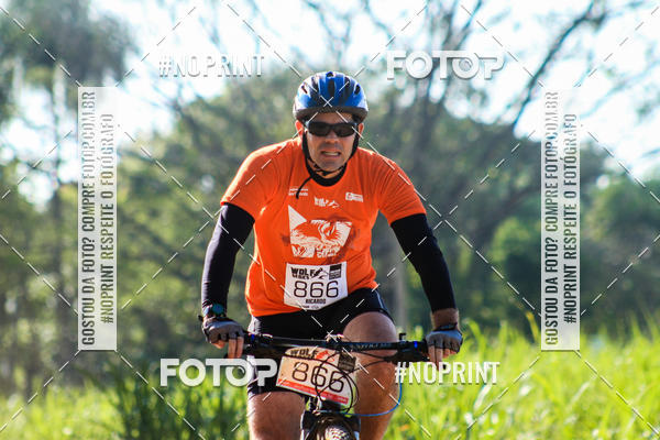 Buy your photos of the eventWolf Series - Botucatu on Fotop