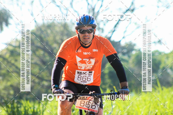 Buy your photos of the eventWolf Series - Botucatu on Fotop