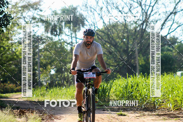 Buy your photos of the eventWolf Series - Botucatu on Fotop