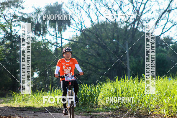 Buy your photos of the eventWolf Series - Botucatu on Fotop