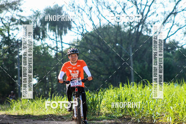 Buy your photos of the eventWolf Series - Botucatu on Fotop