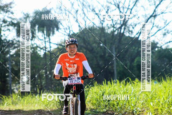 Buy your photos of the eventWolf Series - Botucatu on Fotop