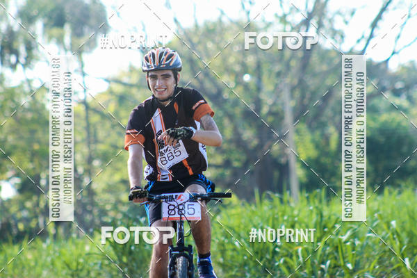 Buy your photos of the eventWolf Series - Botucatu on Fotop