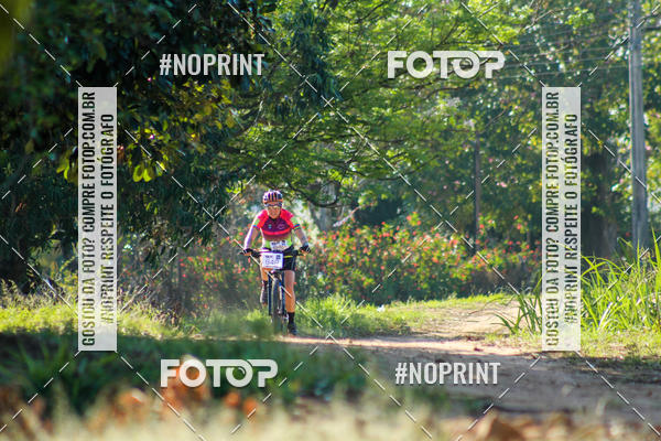 Buy your photos of the eventWolf Series - Botucatu on Fotop