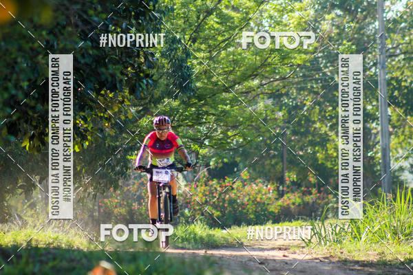 Buy your photos of the eventWolf Series - Botucatu on Fotop