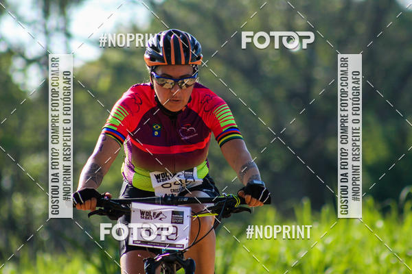 Buy your photos of the eventWolf Series - Botucatu on Fotop