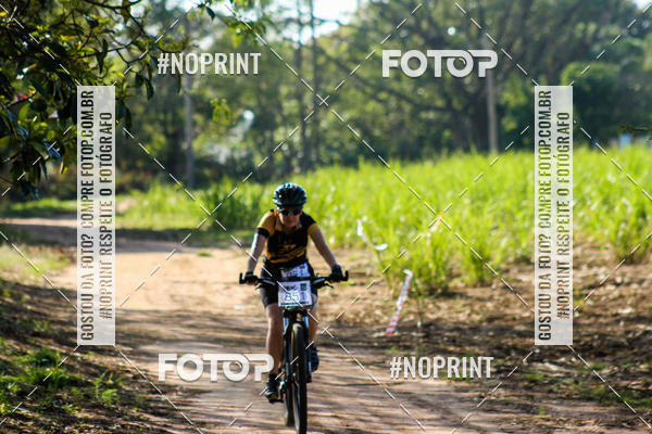 Buy your photos of the eventWolf Series - Botucatu on Fotop