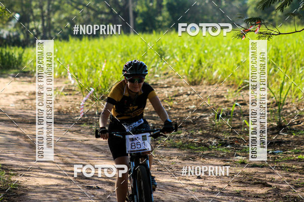 Buy your photos of the eventWolf Series - Botucatu on Fotop