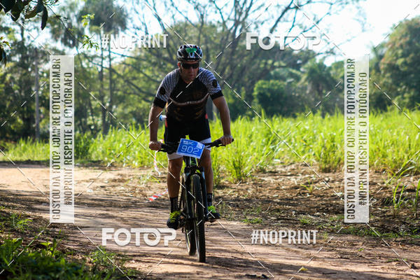 Buy your photos of the eventWolf Series - Botucatu on Fotop