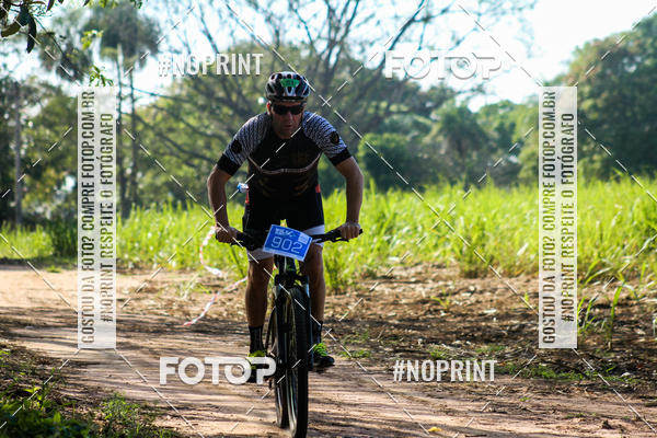 Buy your photos of the eventWolf Series - Botucatu on Fotop