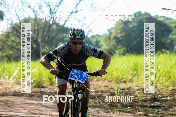 Buy your photos of the eventWolf Series - Botucatu on Fotop