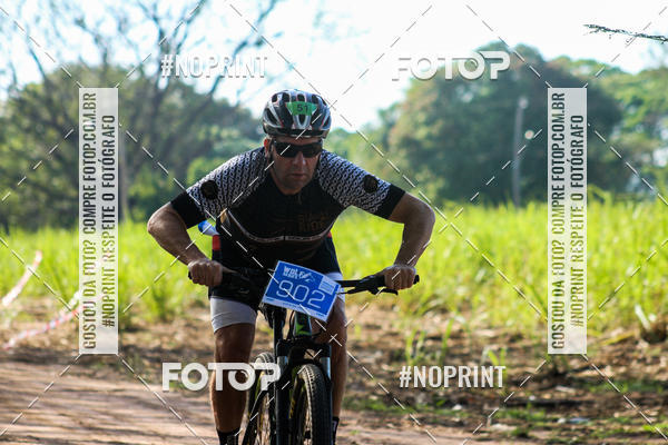 Buy your photos of the eventWolf Series - Botucatu on Fotop