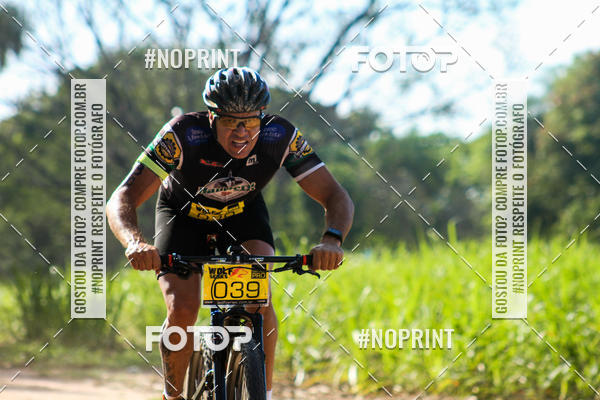 Buy your photos of the eventWolf Series - Botucatu on Fotop