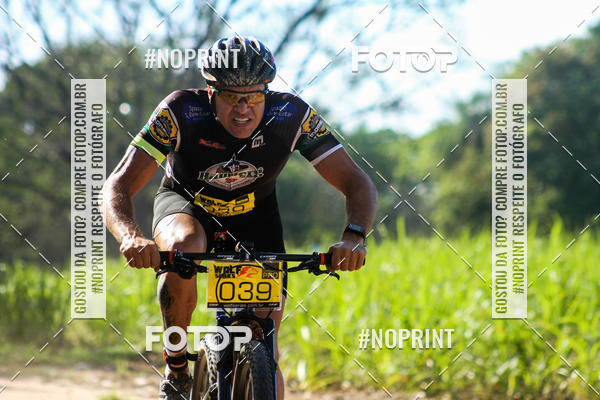 Buy your photos of the eventWolf Series - Botucatu on Fotop