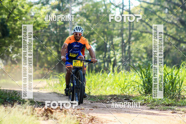 Buy your photos of the eventWolf Series - Botucatu on Fotop