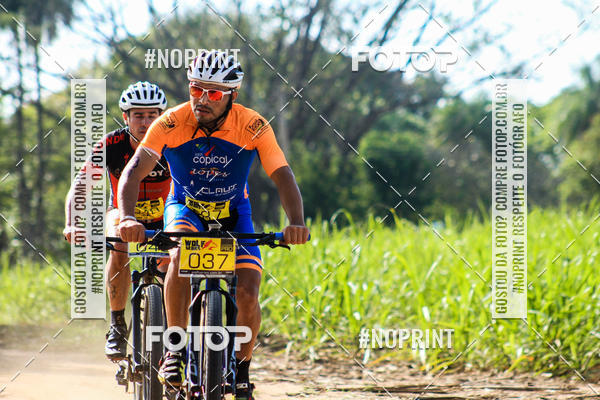 Buy your photos of the eventWolf Series - Botucatu on Fotop