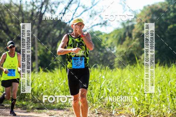 Buy your photos of the eventWolf Series - Botucatu on Fotop