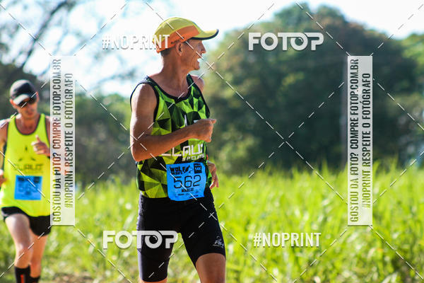 Buy your photos of the eventWolf Series - Botucatu on Fotop