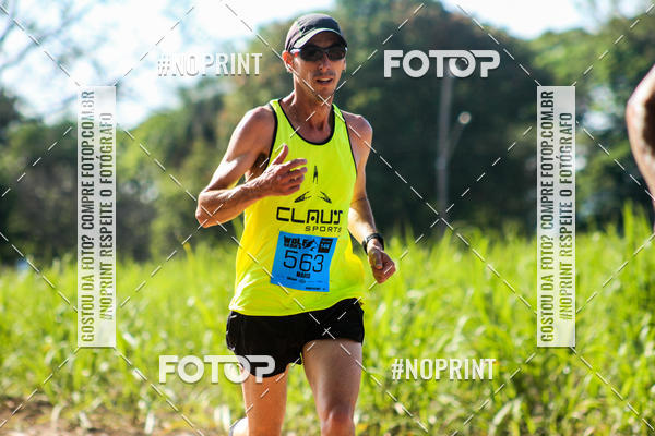 Buy your photos of the eventWolf Series - Botucatu on Fotop