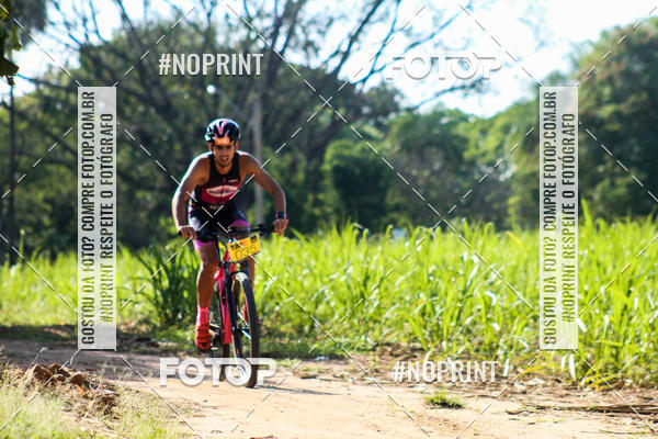 Buy your photos of the eventWolf Series - Botucatu on Fotop