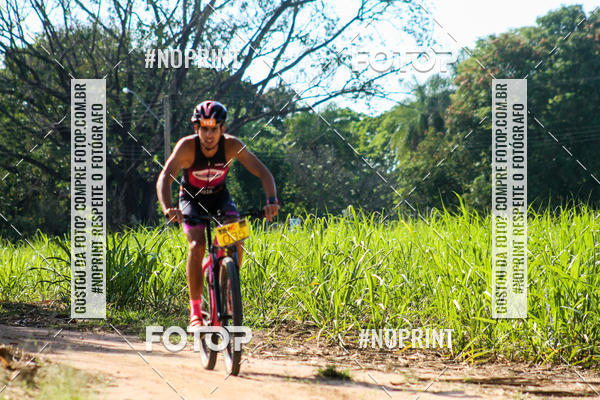 Buy your photos of the eventWolf Series - Botucatu on Fotop