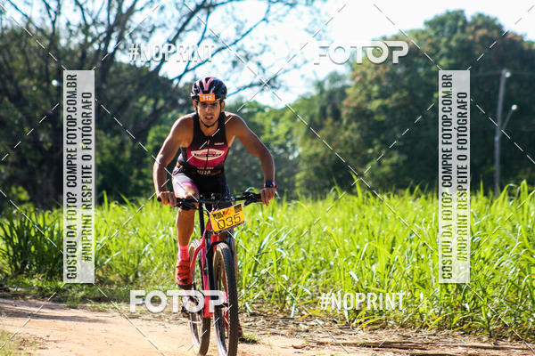 Buy your photos of the eventWolf Series - Botucatu on Fotop