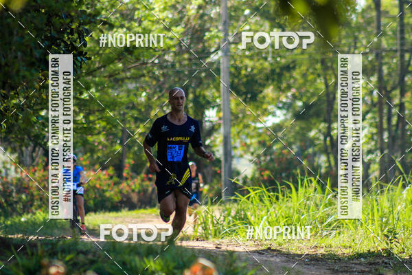 Buy your photos of the eventWolf Series - Botucatu on Fotop