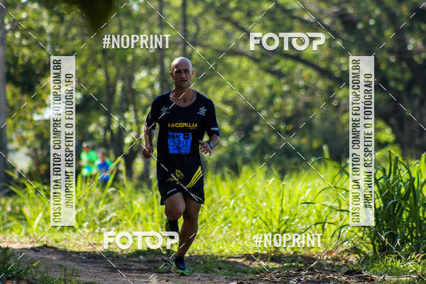 Buy your photos of the eventWolf Series - Botucatu on Fotop