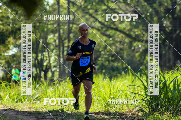 Buy your photos of the eventWolf Series - Botucatu on Fotop