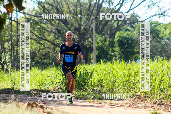 Buy your photos of the eventWolf Series - Botucatu on Fotop