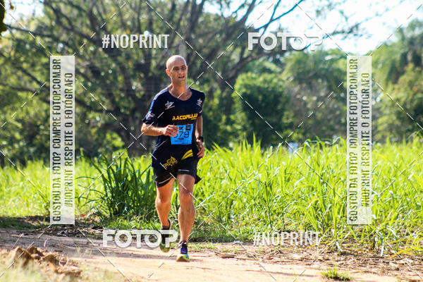 Buy your photos of the eventWolf Series - Botucatu on Fotop