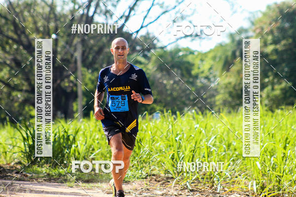 Buy your photos of the eventWolf Series - Botucatu on Fotop