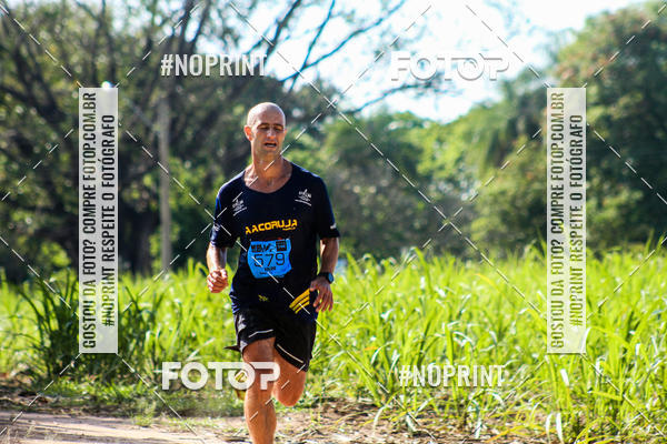 Buy your photos of the eventWolf Series - Botucatu on Fotop