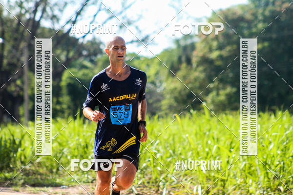 Buy your photos of the eventWolf Series - Botucatu on Fotop