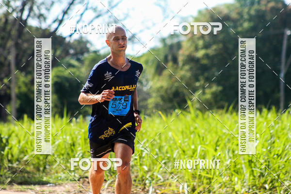 Buy your photos of the eventWolf Series - Botucatu on Fotop