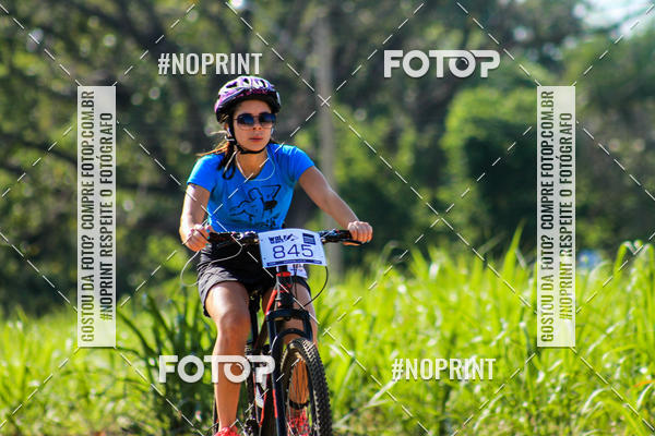 Buy your photos of the eventWolf Series - Botucatu on Fotop