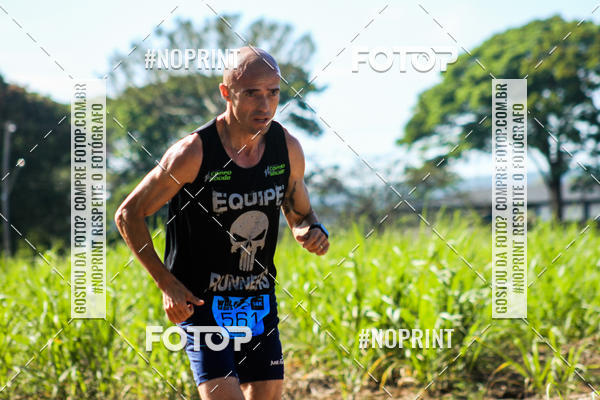 Buy your photos of the eventWolf Series - Botucatu on Fotop