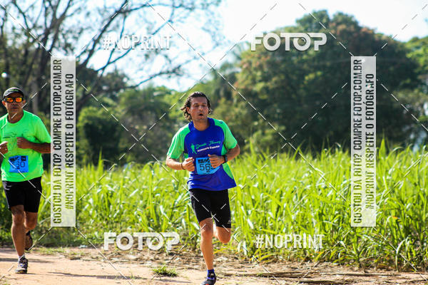 Buy your photos of the eventWolf Series - Botucatu on Fotop