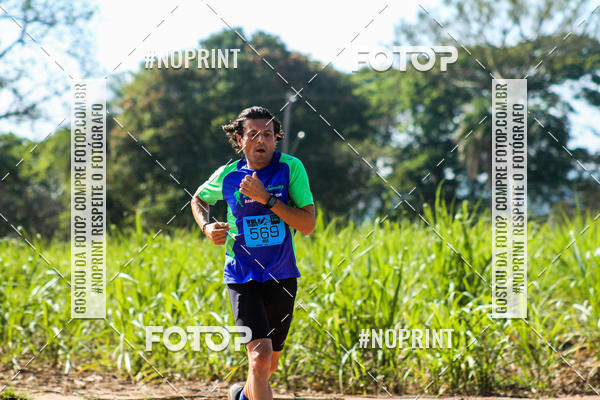 Buy your photos of the eventWolf Series - Botucatu on Fotop