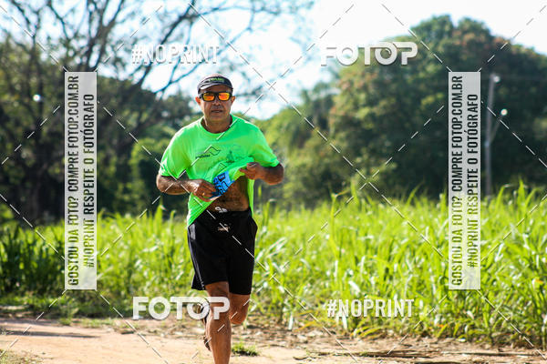 Buy your photos of the eventWolf Series - Botucatu on Fotop