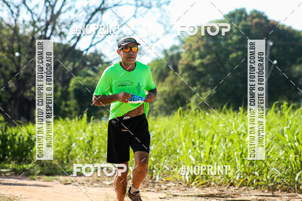 Buy your photos of the eventWolf Series - Botucatu on Fotop