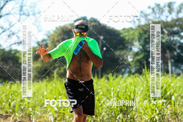 Buy your photos of the eventWolf Series - Botucatu on Fotop