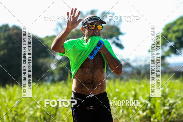 Buy your photos of the eventWolf Series - Botucatu on Fotop