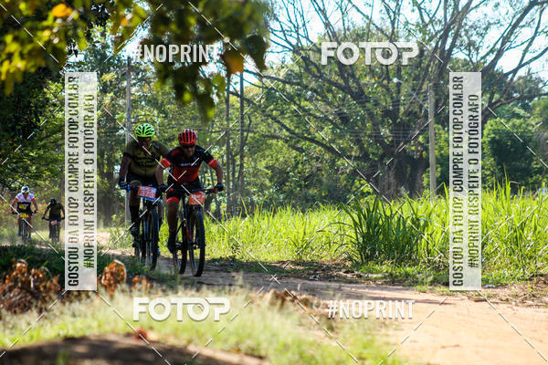 Buy your photos of the eventWolf Series - Botucatu on Fotop