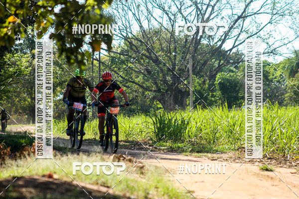 Buy your photos of the eventWolf Series - Botucatu on Fotop