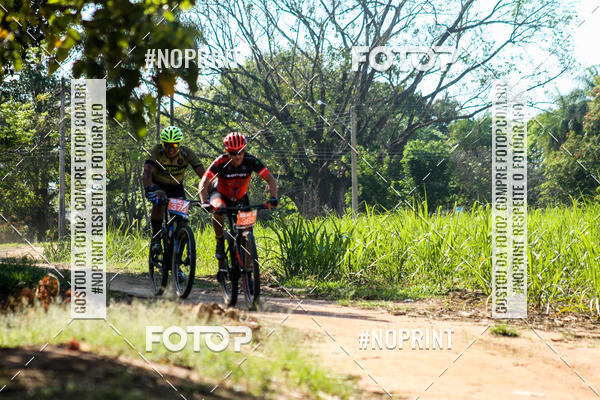 Buy your photos of the eventWolf Series - Botucatu on Fotop