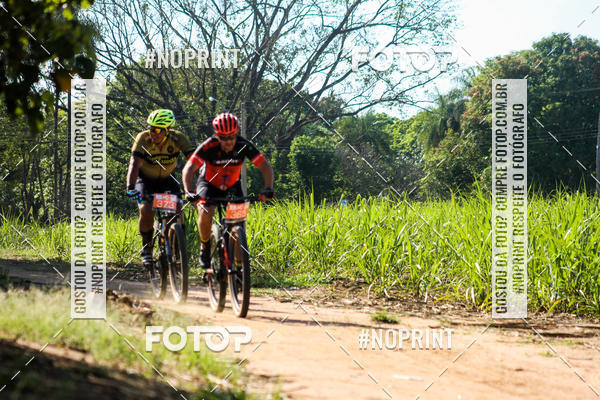 Buy your photos of the eventWolf Series - Botucatu on Fotop