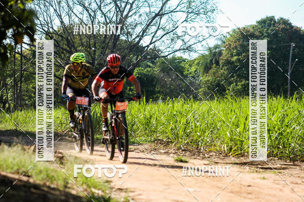 Buy your photos of the eventWolf Series - Botucatu on Fotop