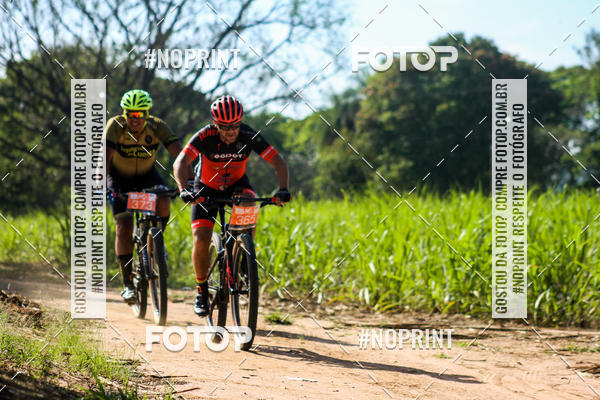 Buy your photos of the eventWolf Series - Botucatu on Fotop